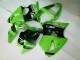 2000-2002 Green Black Kawasaki ZX6R Bike Fairings for Sale