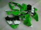 2000-2002 Green Black Kawasaki ZX6R Motorbike Fairing for Sale