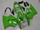 2000-2002 Green Kawasaki ZX6R Motorbike Fairing for Sale