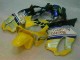 2001-2003 Yellow Silver Nastro Azzurro Honda CBR600 F4i Motorcylce Fairings for Sale