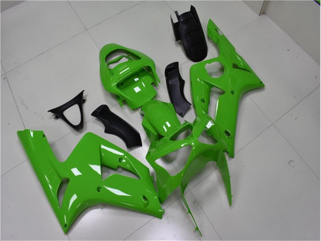 2003-2004 Green Kawasaki ZX6R Replacement Fairings for Sale