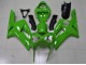 2003-2004 Green Kawasaki ZX6R Replacement Fairings for Sale